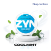 ZYN Cool Mint