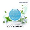 ZYN Japan Cool Mint Medium